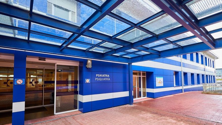 Satse acusa a Osakidetza de "invisibilizar y despreciar" a las Enfermeras de Salud Mental