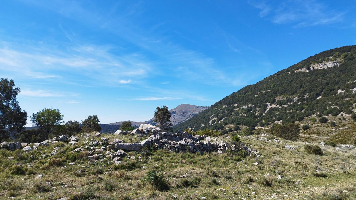 Posició franquista en la lloma del Fenassar. A la dreta veiem el vessant est de Campanerets. Davant tenim el tossal de la Nevera.