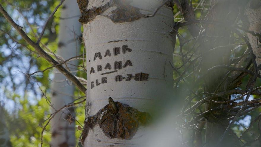 Así fue cómo los pastores vascos llevaron el euskera a Estados Unidos y dejaron su huella en los árboles