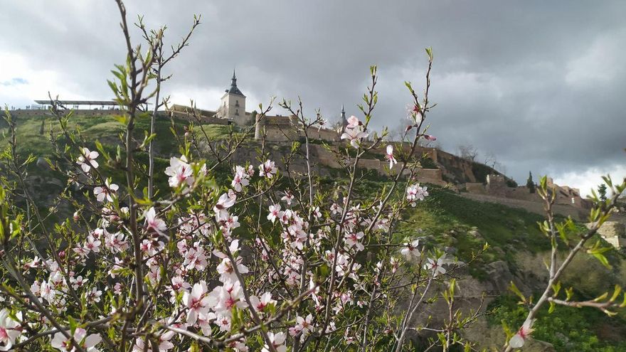 La primavera de la política