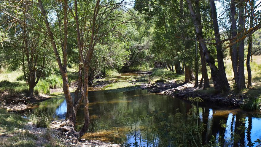 La divertida ruta entre pasarelas, puentes y escaleras de madera que discurre por el barranco de un río en Segovia