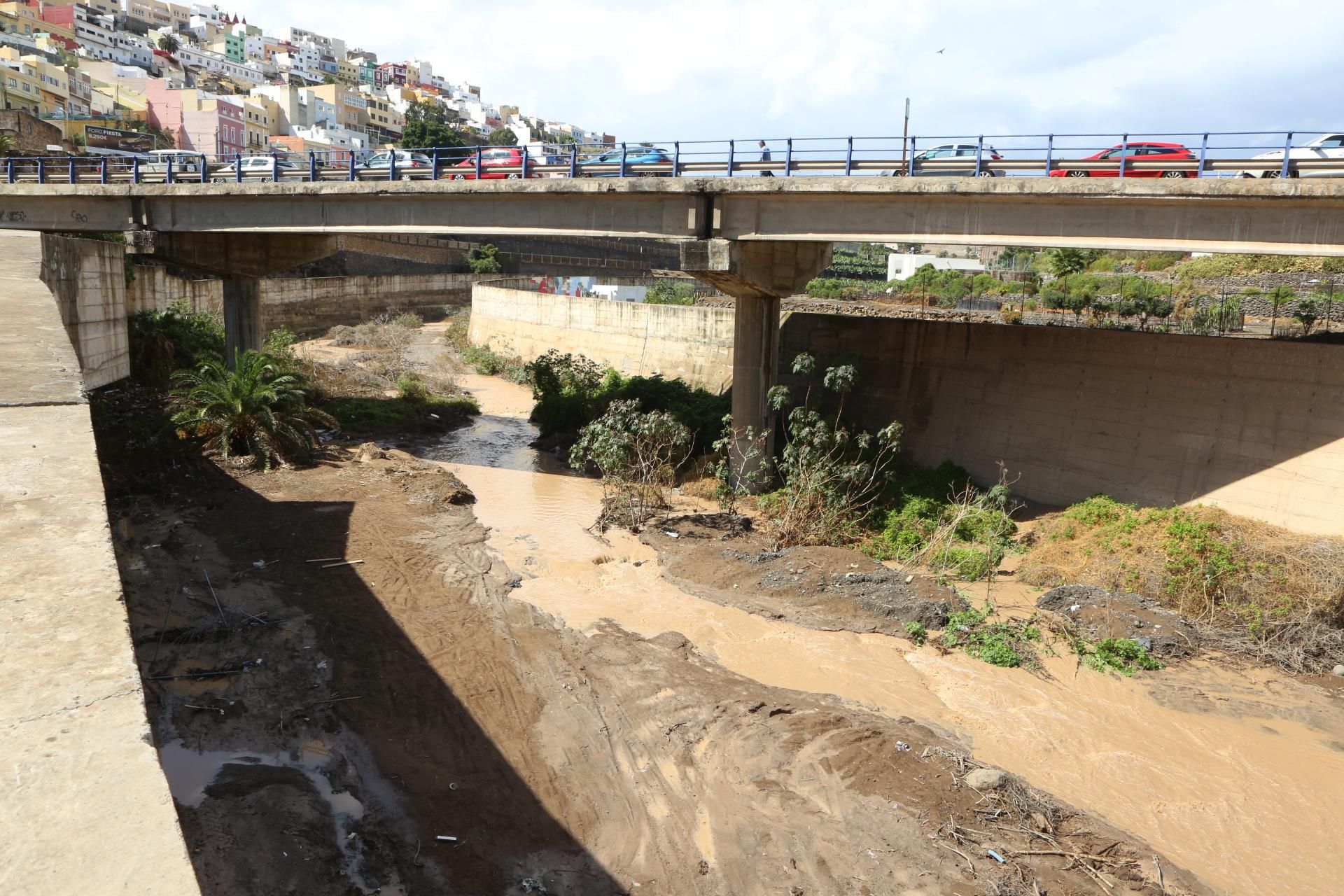 Barranco del Guiniguada (ALEJANDRO RAMOS)