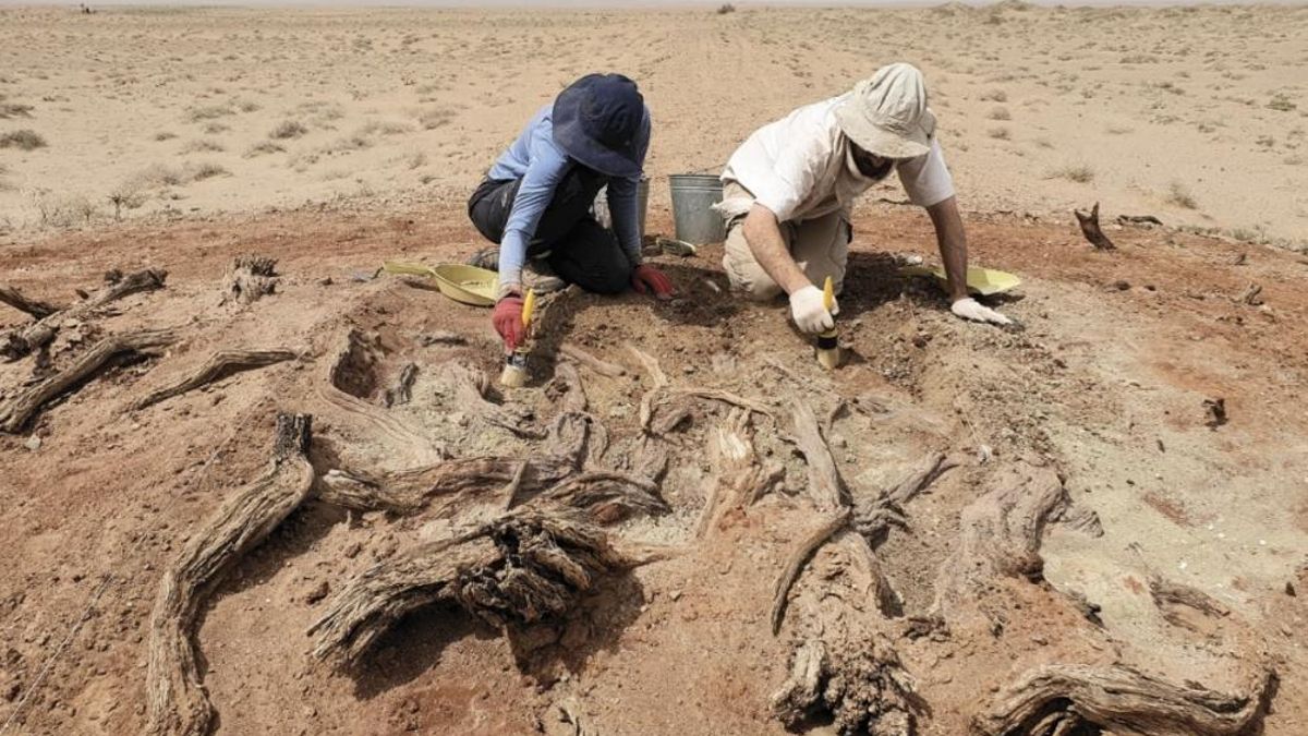 Las grandes murallas no se levantaron solo como defensa ante amenazas externas, sino como herramientas de control