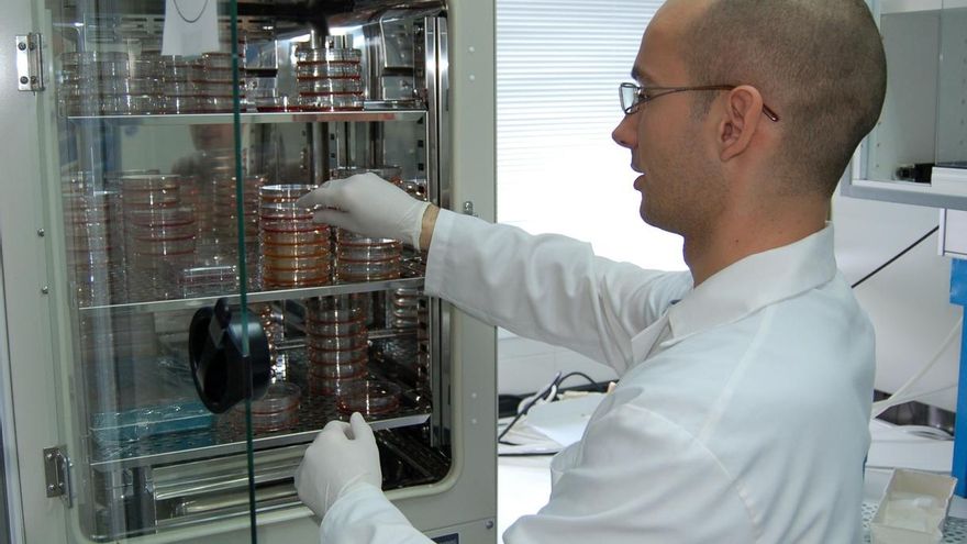 Investigadores de la Universidad de Santiago: “El fin de nuestros contratos perjudicará a la comunidad científica”