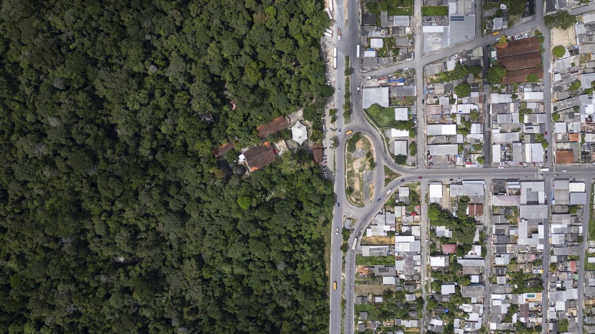 Brasil suma apoyos a su propuesta estrella en la COP30 para preservar las selvas criticada por los movimientos sociales