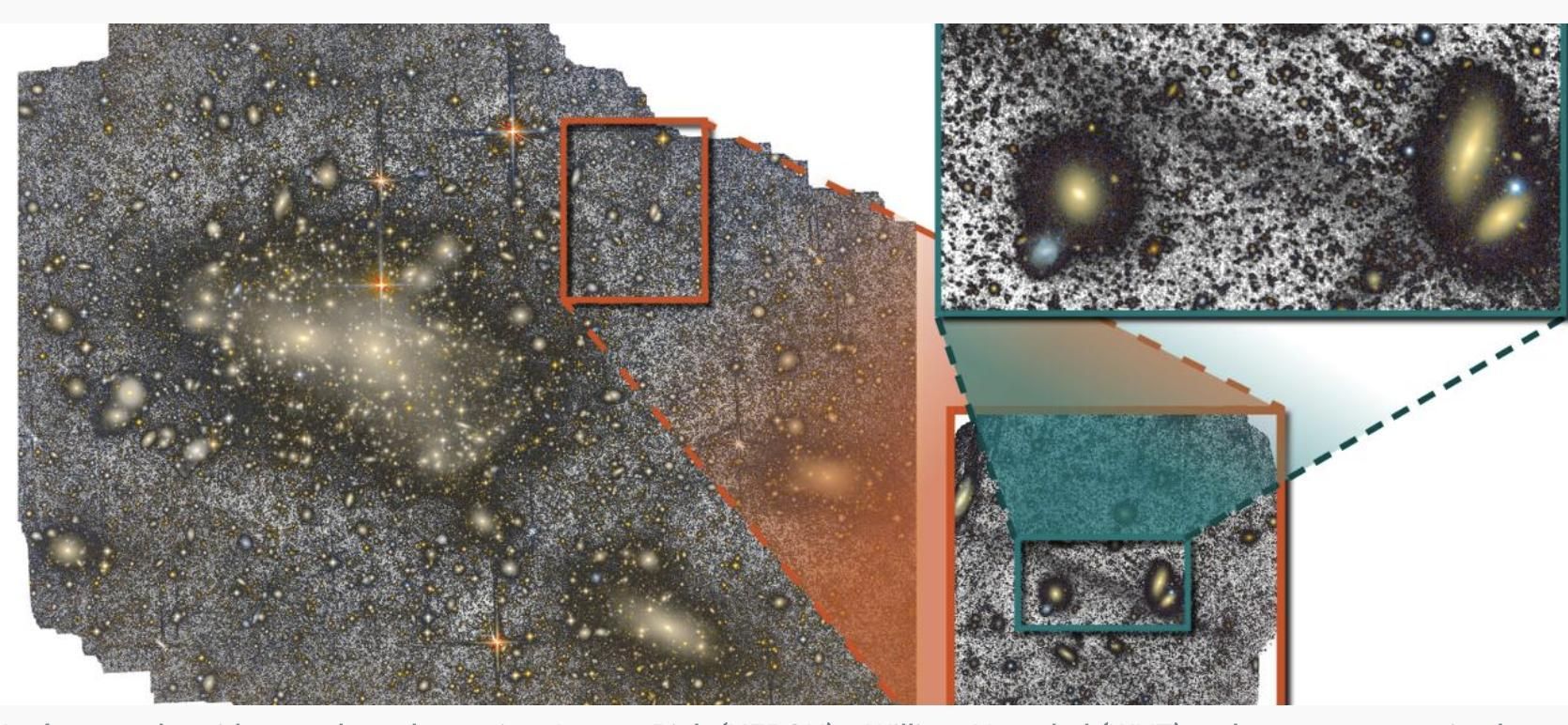 Imágenes obtenidas con los telescopios Jeanne Rich (HERON) y William Herschel (WHT) en las que se aprecian la denominada ‘corriente gigante de Coma’, una corriente estelar (línea oscura) diez veces más larga que la Vía Láctea y que se extiende entre galaxias (a color) a unos 300 millones de años luz. Crédito: HERON/ WHT/ Román et al. Diseño: Inés Bonet (IAC).