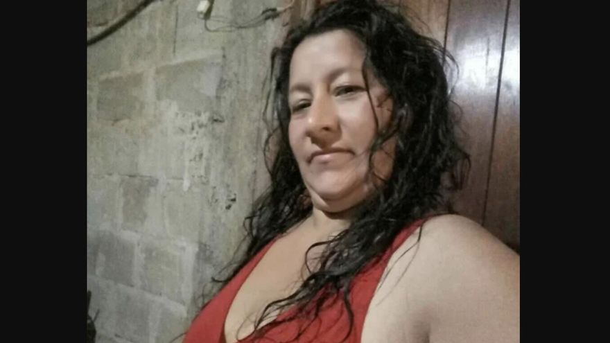 Se conocieron detalles de lo que declaró Laudelina, la tía de Loan: "Se lo llevaron"