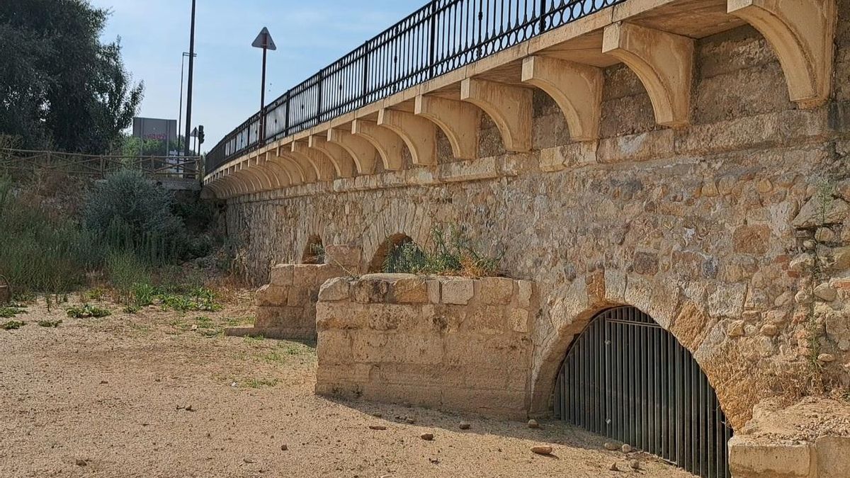 Piden "actuaciones urgentes" en el puente sobre el río Henares, el monumento más antiguo de Guadalajara