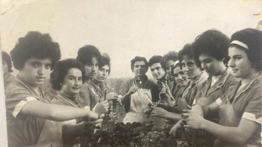 Las mujeres que llenan las despensas desde La Rioja: vidas entre conservas, techos de cristal y trabajos por campaña