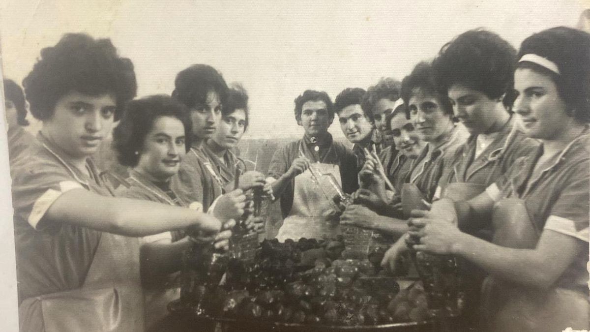 Las mujeres que llenan las despensas desde La Rioja: vidas entre conservas, techos de cristal y trabajos por campaña