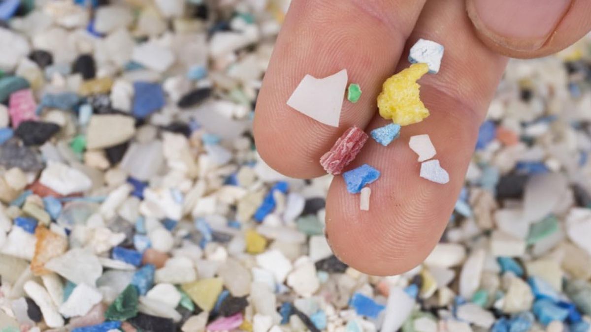 Microplásticos.