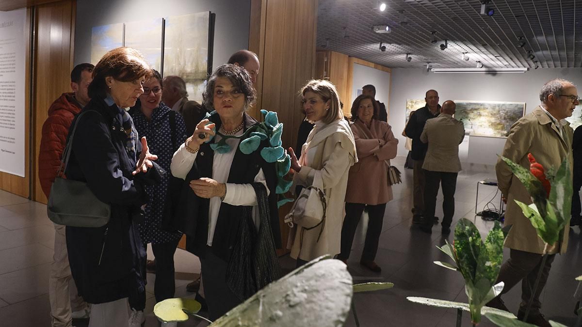 La Fundación Cajasol inaugura la exposición “Humedales. El reino de las libélulas” de Julia Hidalgo
