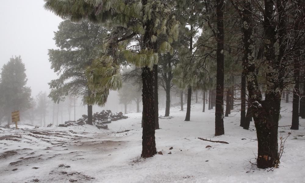 Cumbre grancanaria a jueves, 8 de febrero de 2018.