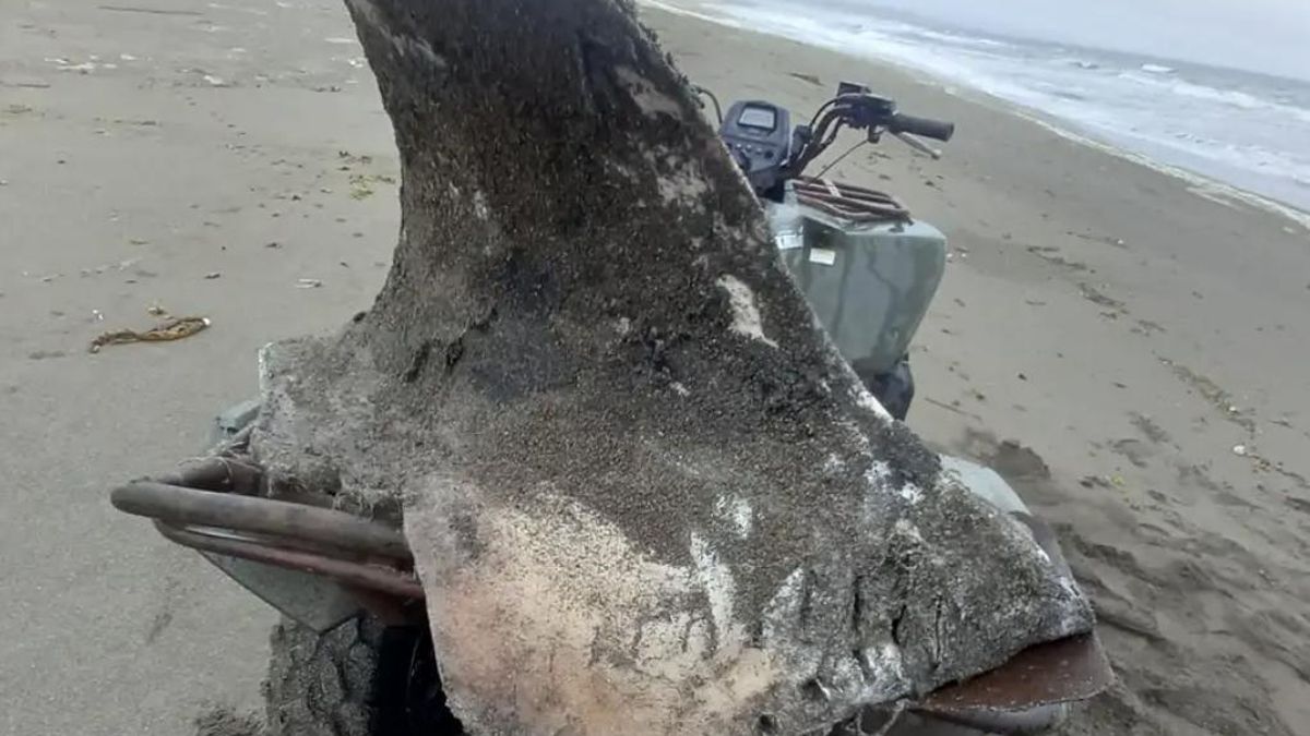 Se encontraron dos restos, una muestra insuficiente para la comunidad científica