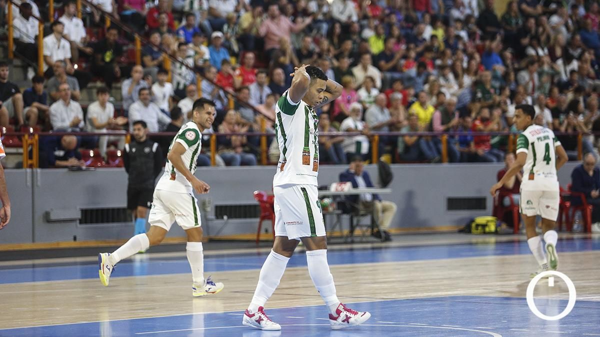 Córdoba Patrimonio - Ribera Navarra