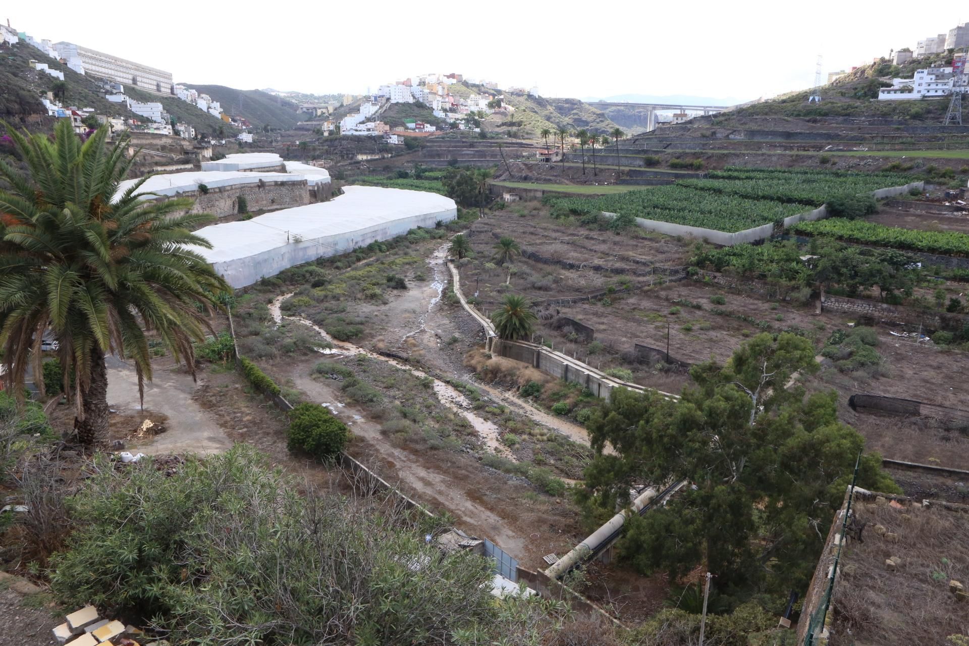 Barranco del Guiniguada (ALEJANDRO RAMOS)