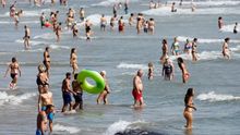Bañistas en un playa del Mediterráneo.