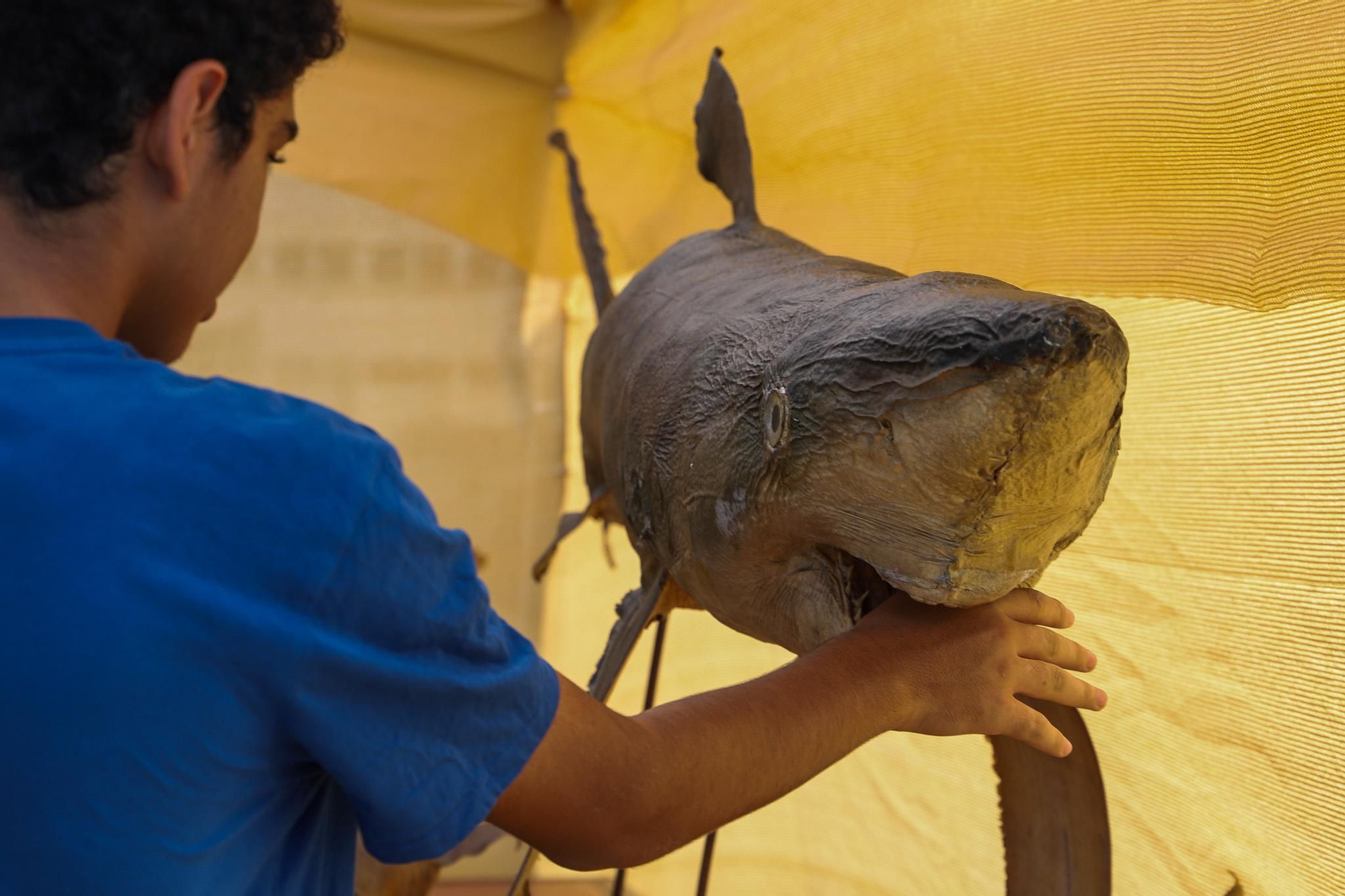 La Plataforma Oceánica de Canarias (PLOCAN) ha presentado los avances de las campañas de observación biológica del proyecto DELTA en la Feria Mar y Lava, en el municipio de Tazacorte, en los que destaca la notable recuperación de la vida marina en los deltas lávicos formados tras la erupción del volcán Tajogaite en 2021. EFE / Luis G Morera
