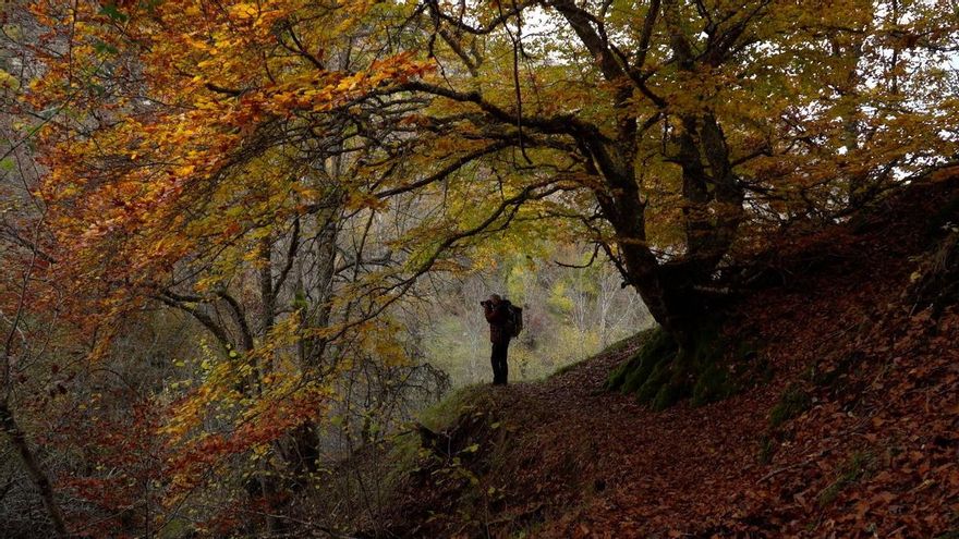 'El río de la memoria', el Esla hecho película, se estrena este viernes en el Instituto Leonés de Cultura