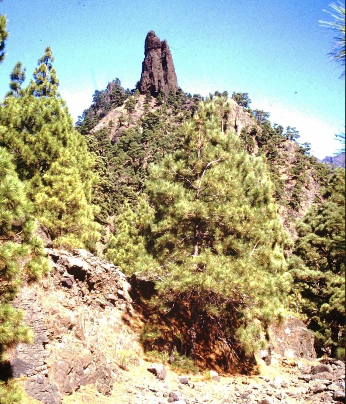 Roque Idafe, monolito sagrado para los aborígenes palmeros.
