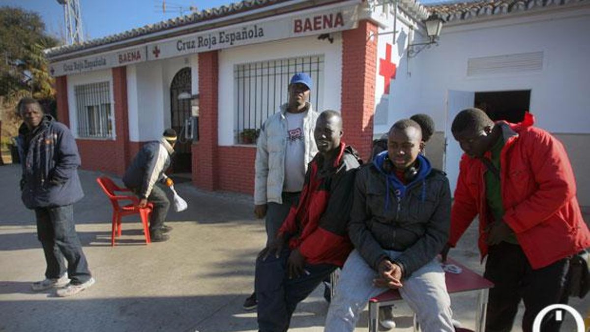 Temporeros extranjeros en Baena.
