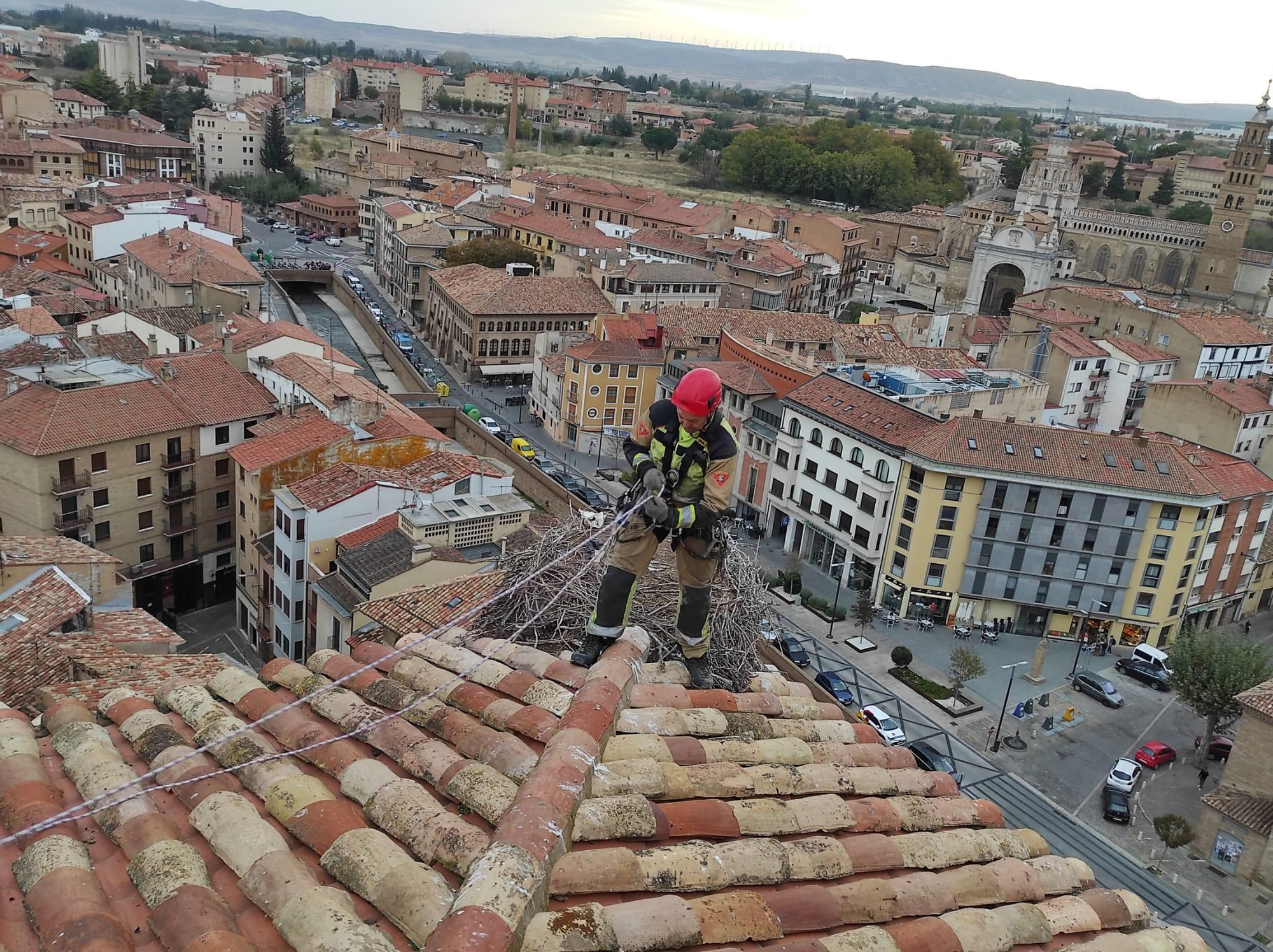 Retirada de nidos de cigüeña en el palacio arzobispal de Tarazona.