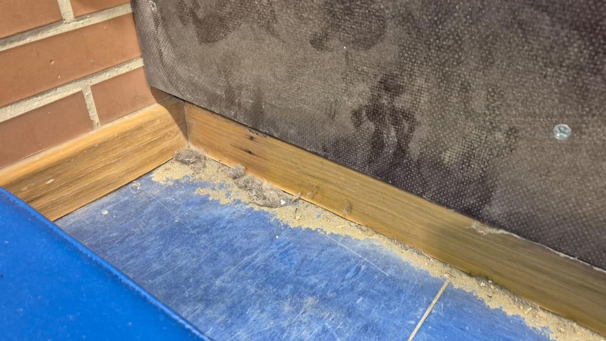 Las familias de varios colegios de Sevilla cortan el tráfico para protestar por la falta de limpieza en las aulas