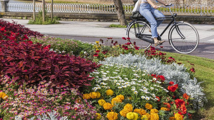 Asma bronquial y deporte: cómo conjugarlos