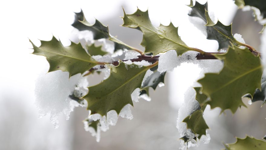 La borrasca Claudia se aleja y una masa de aire ártico dejará un acusado descenso térmico