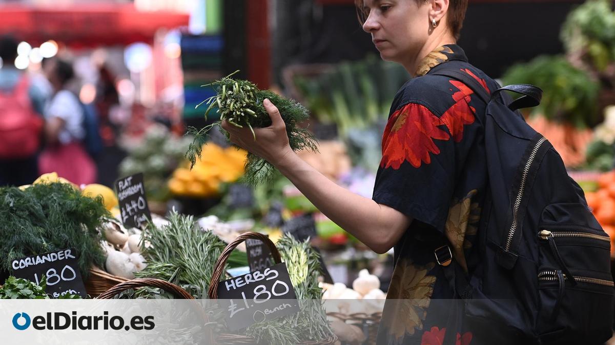 www.eldiario.es
