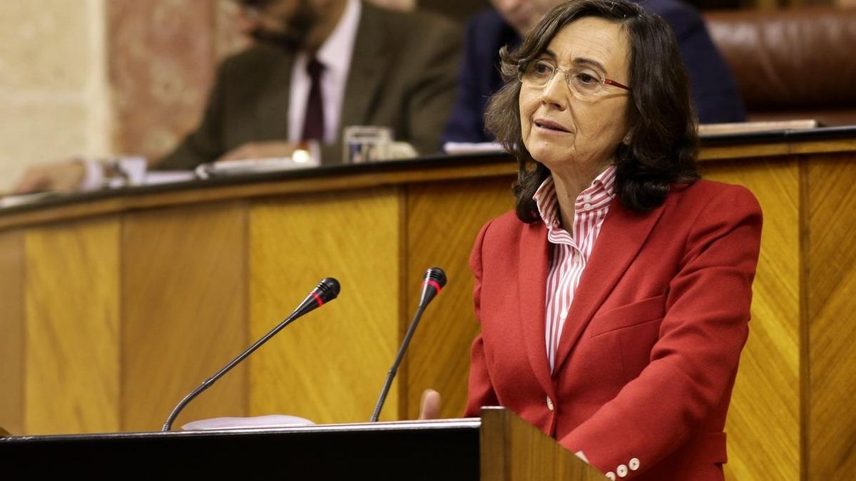El proyecto de Ley de Memoria Democrática supera el debate de totalidad que el PP-A critica por "innecesario"