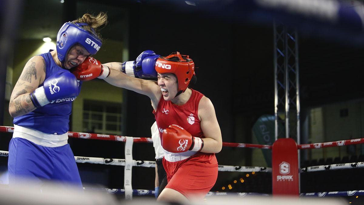 Copa Iberdrola de boxeo en Córdoba