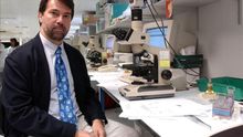 El científico español Pedro Alonso recibe financiación de Gates y Koplowitz para investigar la malaria.