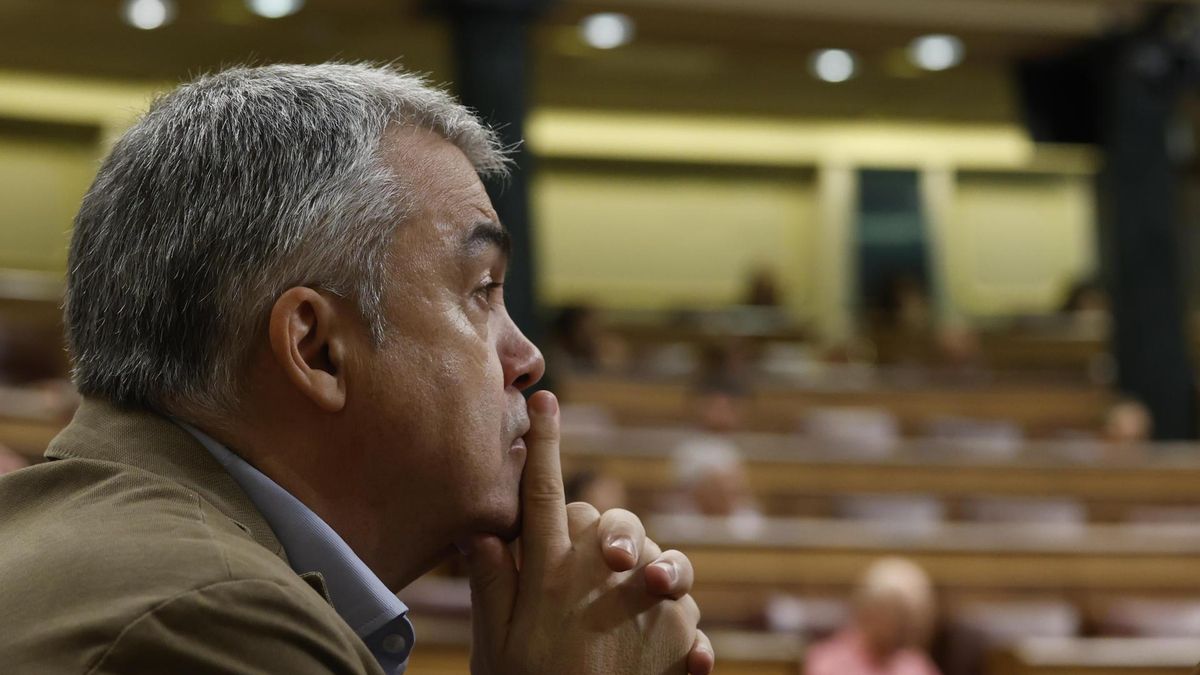 Santos Cerdán, esta semana en el Congreso