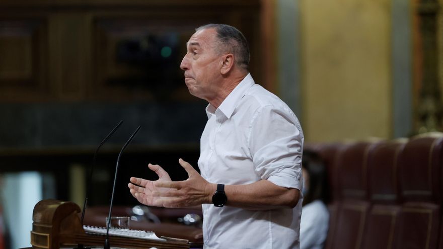 El diputado de Compromís, Joan Baldoví, durante su intervención este miércoles en el Pleno del Congreso en el que el Gobierno explica los indultos a los líderes independentistas e informar de la situación política y económica. EFE/ Emilio Naranjo