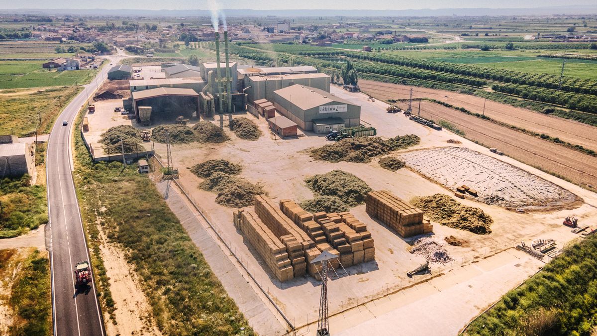 Montañas de alfalfa secándose en una de las dependencias de Al Dahra en Ivars d'Urgell (Lleida), el pasado abril.