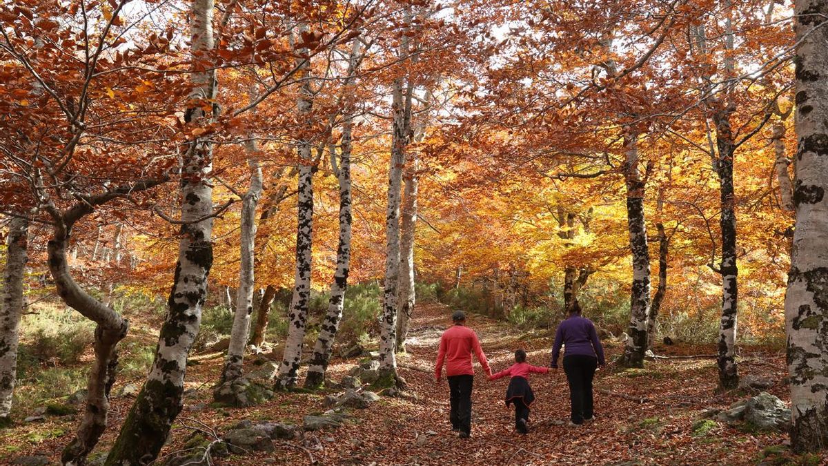 Otoño en el valle del río Roñas