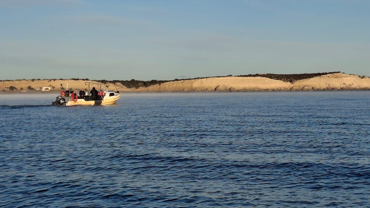 El Golfo Nuevo está ubicado en la provincia de Chubut, frente a la ciudad de Puerto Madryn. Foto: cortesía CESIMAR Conicet