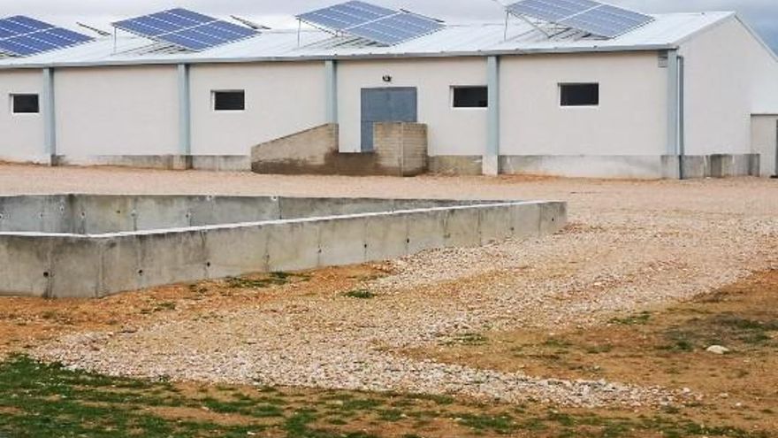 Una sentencia judicial frena una macrogranja porcina en Cuenca tras considerarla "clandestina"