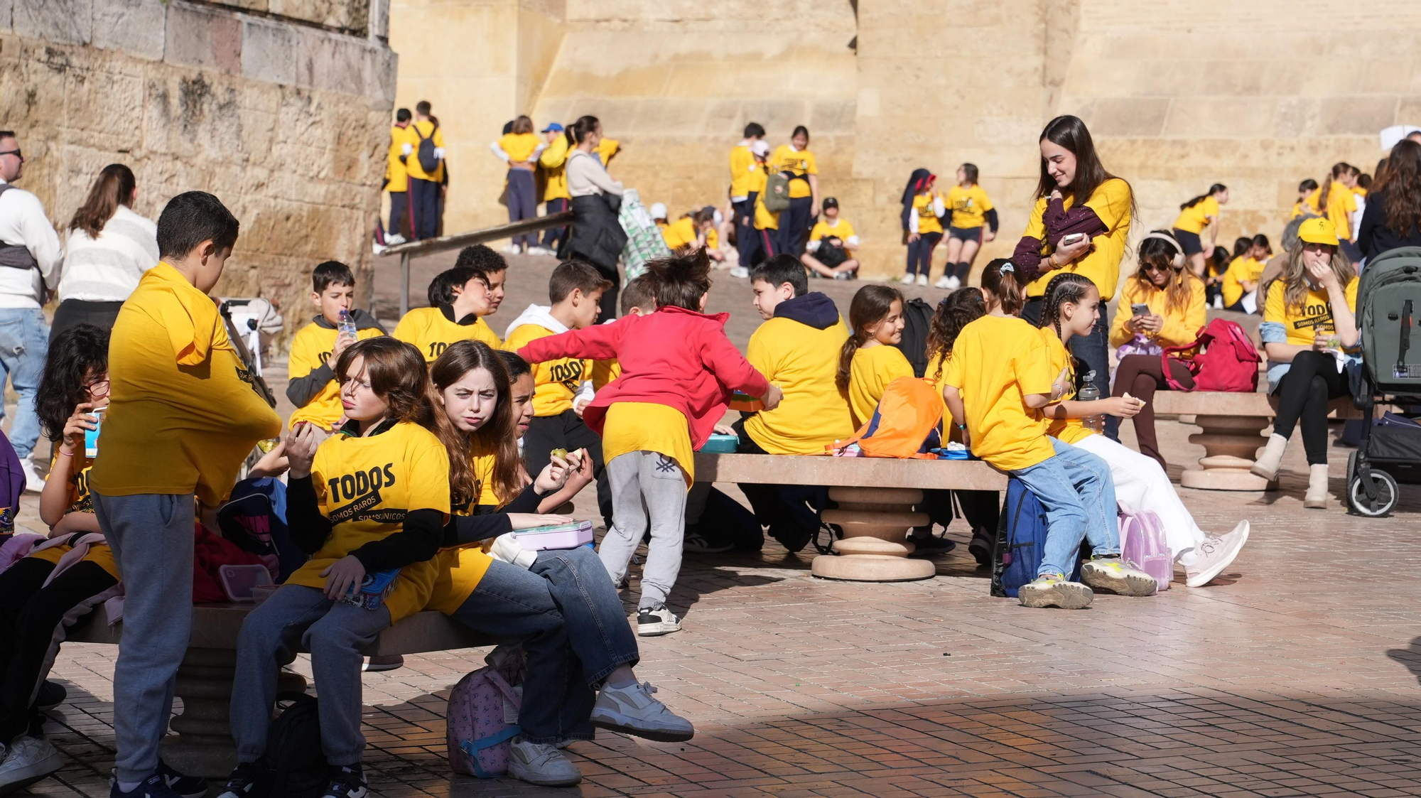 Córdoba abraza la Mezquita Catedral por las enfermedades raras
