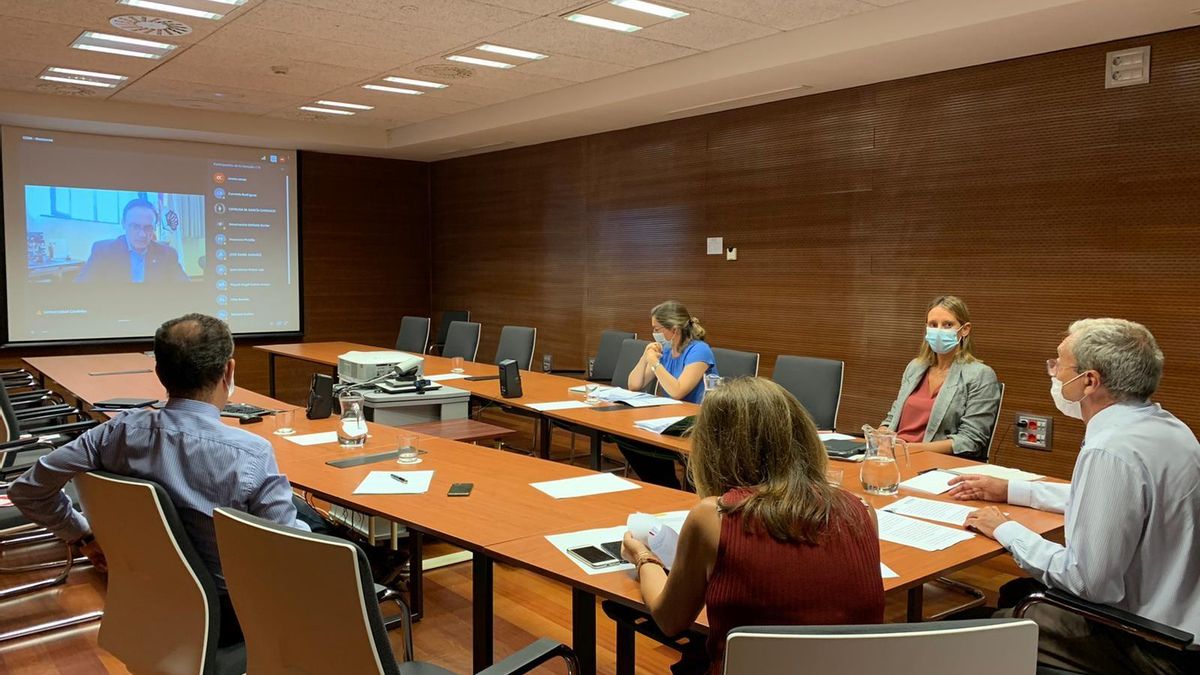 Imagen de este miércoles del encuentro online del consejero de Economía, Rogelio Velasco, con los rectores de las universidades andaluzas.