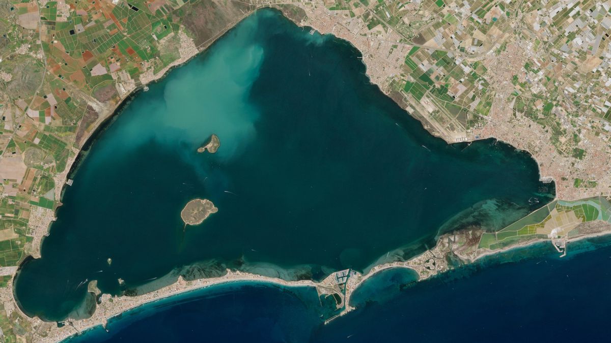 El Mar Menor estabiliza sus niveles de oxígeno y se aleja de la anoxia