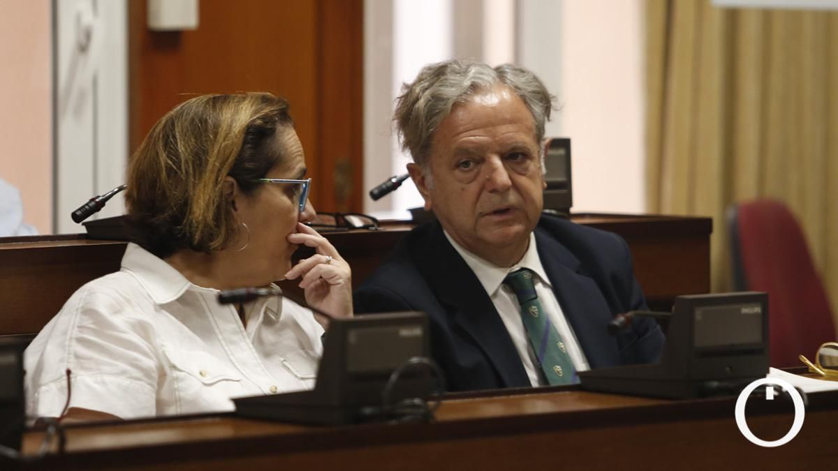 Pleno Extraordinario organizativo