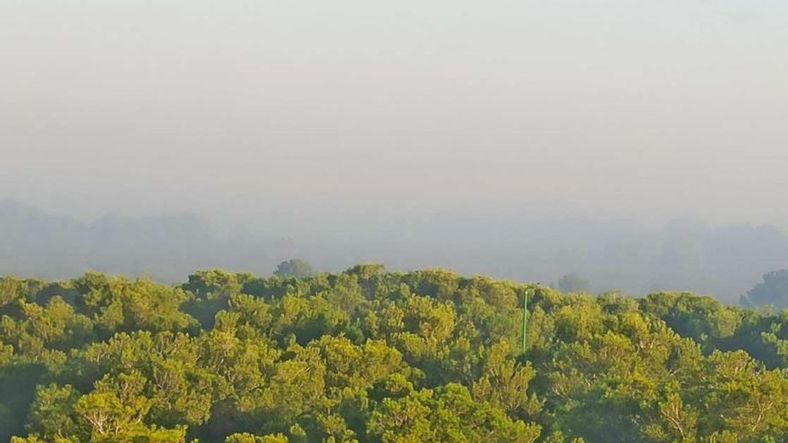 Compromís tacha de "irresponsable" al Gobierno del PP por el fomento de la quema de la paja del arroz