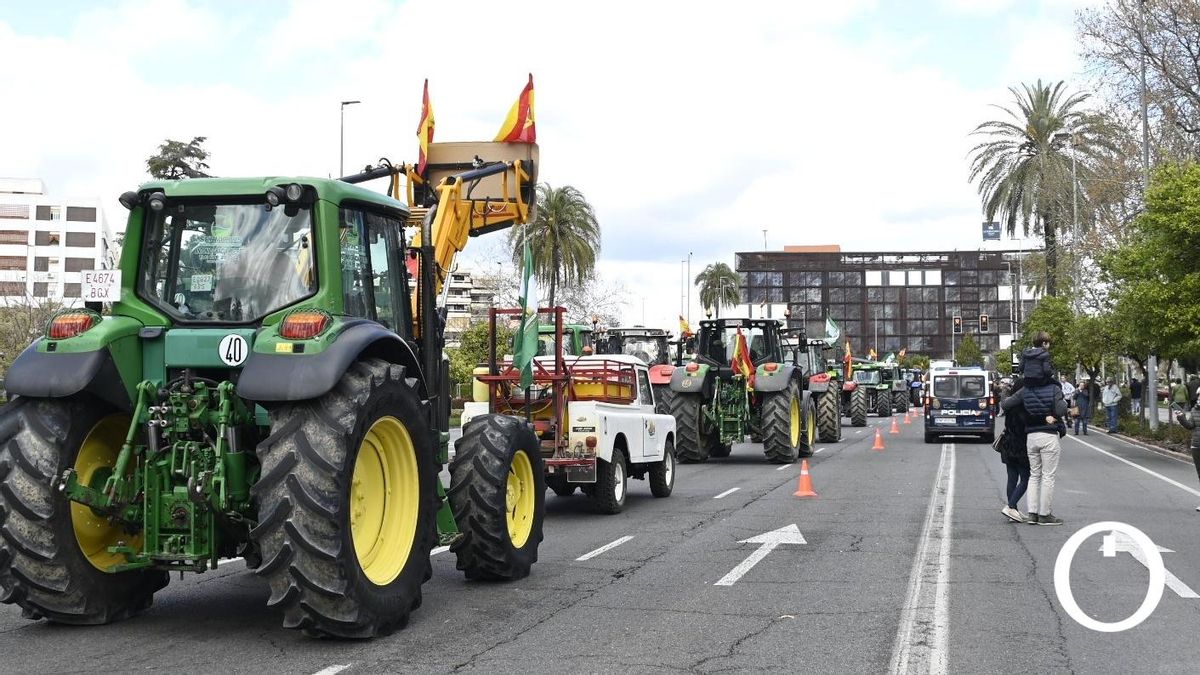 Tractorada de los agricultores por Córdoba