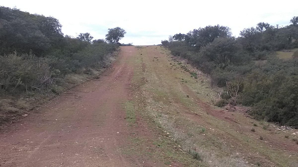 Parte de la vía pecuaria el Cordel de la Carolina