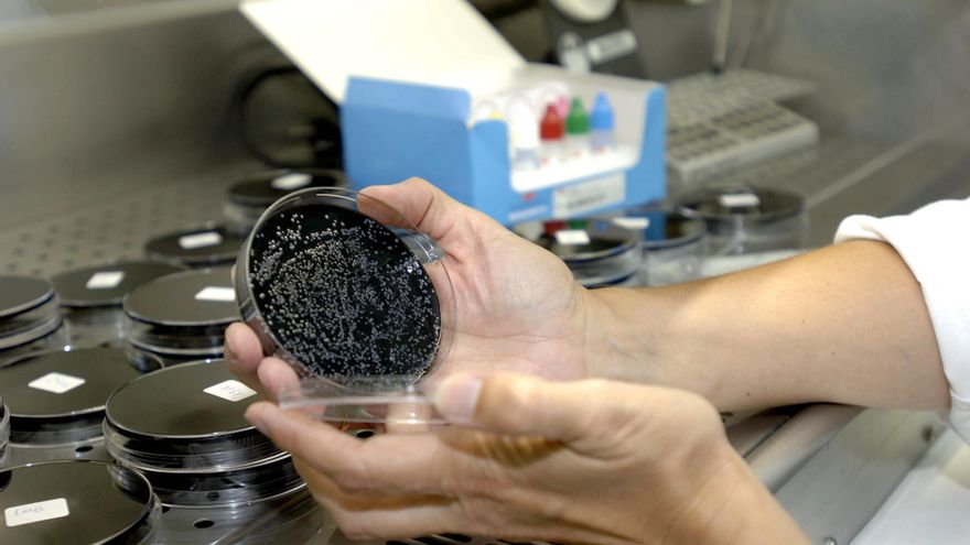 Se descarta un brote de legionela en Cáceres pero se seguirán haciendo análisis tras el cierre de ocho fuentes públicas