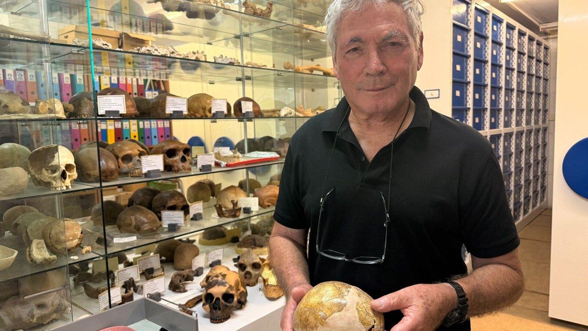 Prof. Israel Hershkovitz