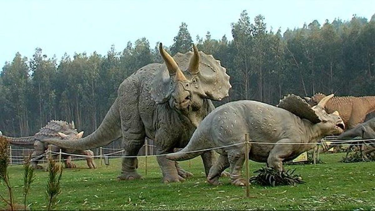 De la dinosauria Devi a la fórmula de los primeros humanos para hacer fuego: Asturias abre el tesoro de sus Museos