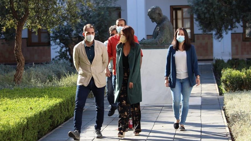 Unidas Podemos recurre ante el Constitucional la Ley del Suelo de Andalucía por su "urbanismo aleatorio"